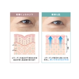 ヒト幹細胞 ヒト幹細胞培養液 プレミアム アイシートマスク60Ｐ（両目３０回） | 素肌べっぴん館  | 詳細画像5 