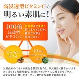 ２本セット100倍浸透型ビタミンＣ誘導体配合濃密保湿化粧水DX 500ml | 素肌べっぴん館  | 詳細画像3 