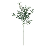 2本セット | フェイクグリーン オリーブ 観葉植物 | くれあぽけっと