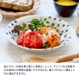 カレー皿 22cm 北欧風pattern | EAST table | 詳細画像6 