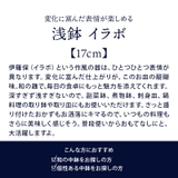 浅鉢 17cm イラボ | EAST table | 詳細画像3 