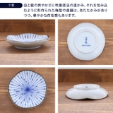 小皿 梅形 9 | EAST table | 詳細画像11 