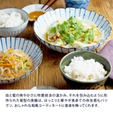 深皿 吹墨十草 菊型 | TABLE WARE EAST | 詳細画像6 