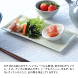 箸休め豆皿 7cm カラフルマット | TABLE WARE EAST | 詳細画像7 