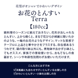 お花のとんすい Terra マット4カラーボウル | TABLE WARE EAST | 詳細画像3 