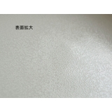 ボウル 小鉢 しのぎ | TABLE WARE EAST | 詳細画像3 