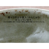 和食器 おしゃれ おかず小鉢 | TABLE WARE EAST | 詳細画像28