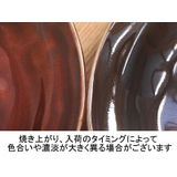 ランチプレート カフェ仕切り アメ色モダン食器 | TABLE WARE EAST | 詳細画像11 