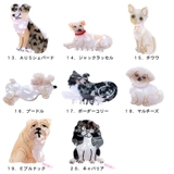 犬 ヘアクリップ バンスクリップ | terracotta | 詳細画像3