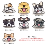 犬 ヘアクリップ 大きめ | terracotta | 詳細画像12 