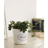 A | アロマディフューザー ブーケ | Toffy store