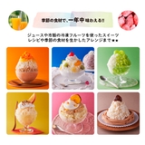 【Toffy/トフィー】 コンパクト電動ふわふわかき氷器(K-IS14) | Toffy store | 詳細画像8