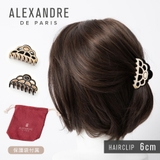アレクサンドルドゥパリ ALEXANDRE DE | U-STREAM | 詳細画像1