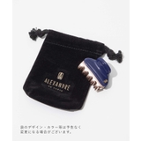 アレクサンドルドゥパリ ALEXANDRE DE | U-STREAM | 詳細画像19 