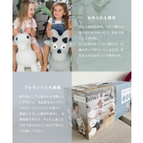 日本初上陸 正規販売代理店 キンズグート | U-STREAM | 詳細画像15 