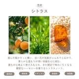 カルバンクライン シーケーワン オードトワレ 香水 50mL 100mL | U.HEALTH＆BEAUTY  | 詳細画像9 