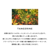 カルバンクライン シーケーワン オードトワレ 香水 50mL 100mL | U.HEALTH＆BEAUTY  | 詳細画像10 