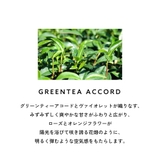 カルバンクライン シーケーワン オードトワレ 香水 50mL 100mL | U.HEALTH＆BEAUTY  | 詳細画像11 
