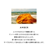 カルバンクライン シーケーワン オードトワレ 香水 50mL 100mL | U.HEALTH＆BEAUTY  | 詳細画像12 