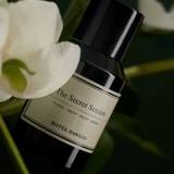 韓国発フレグランスブランド ホテルドーソン ルーム＆ファブリックスプレー | U.HEALTH＆BEAUTY  | 詳細画像7 