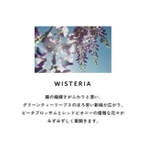ランバン エクラドゥアルページュ オードパルファム 30mL 50ｍL | U.HEALTH＆BEAUTY  | 詳細画像8 
