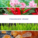 サムライ オードトワレ 100mL 香水 | U.HEALTH&BEAUTY | 詳細画像8