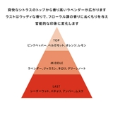JAGUAR ジャガー ヴィジョンスポーツ オードトワレ 100mL man | U.HEALTH＆BEAUTY  | 詳細画像3 