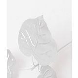 BLOMSTER ウンベラータstick423690 | SENSE OF PLACE | 詳細画像6