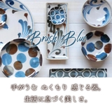 食器セット 長角皿 さんま皿 5枚組 日本製 結婚祝い 青筆 | うつわのお店たたら | 詳細画像2 