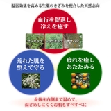 百薬湯 （ひゃくやくとう） 30g×10P | UYEKI(ウエキ) | 詳細画像6 