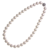 パールホワイト | パール×パヴェボールネックレス(12mm) エレガント シンプル | VINGTAINE