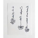 セットタトゥーシールA | WEGO【WOMEN】 | 詳細画像17 