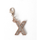 柄24 | ゴールドビジューアルファベットDIYチャーム21mm | WEGO【WOMEN】