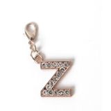 柄26 | ゴールドビジューアルファベットDIYチャーム21mm | WEGO【WOMEN】