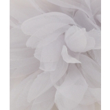 シフォンコサージュ | grove | 詳細画像4 