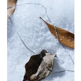 【ステンレス】ナローコンビネックレス | tk.TAKEO KIKUCHI | 詳細画像7 