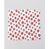 ディッシュクロス4Pセット RD | 212 KITCHEN STORE | 詳細画像2 