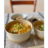 やさしい彩 抗菌羽反丼 キナリ色 | 212 KITCHEN STORE | 詳細画像4 