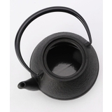 OIGEN（及源）南部鉄器 急須 たまご型 0.55L | 212 KITCHEN STORE | 詳細画像2 